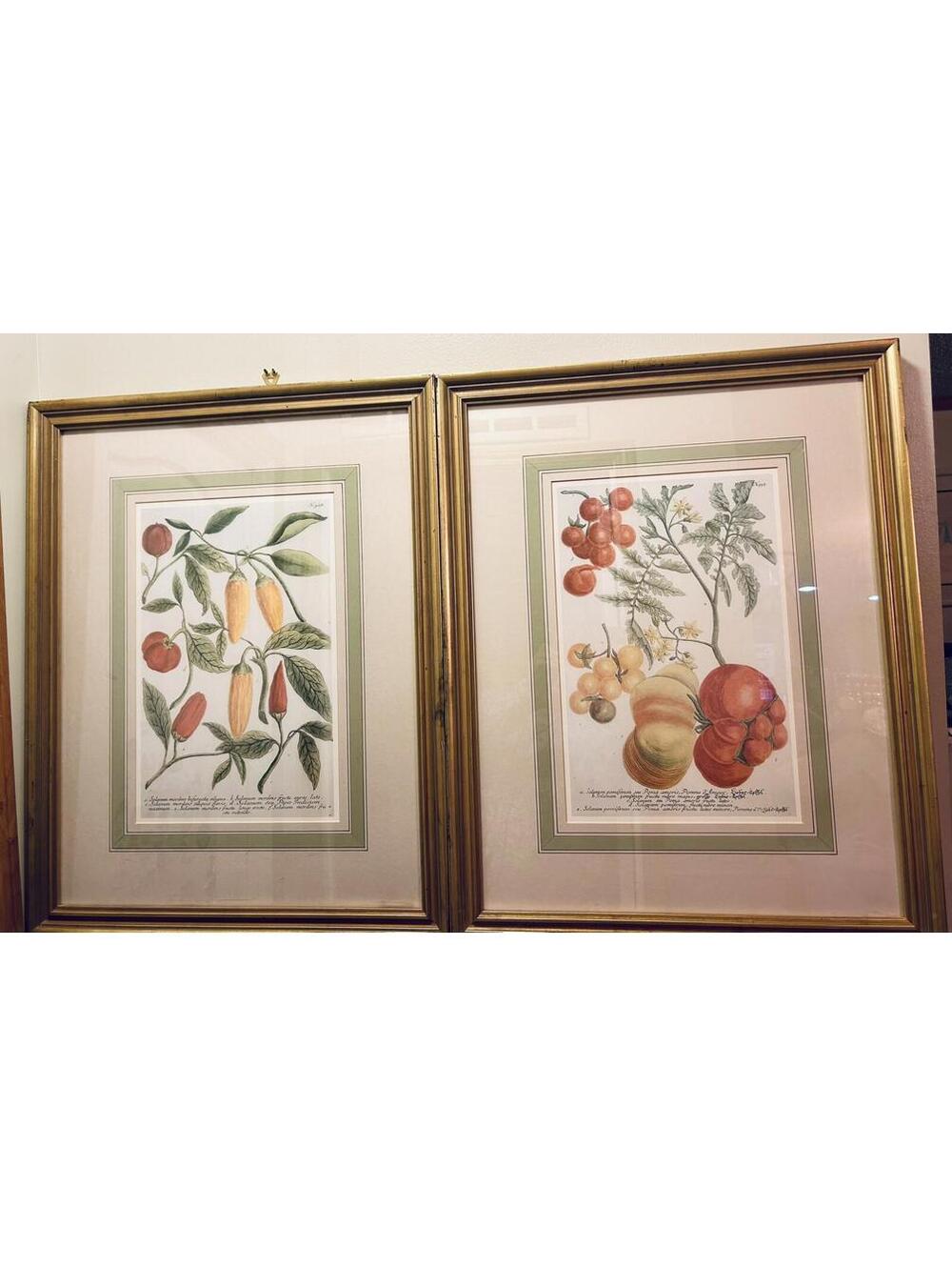 Balangier Design Pair Garden Plants Gold 22.5”x28.5 Framed Wall Print Art